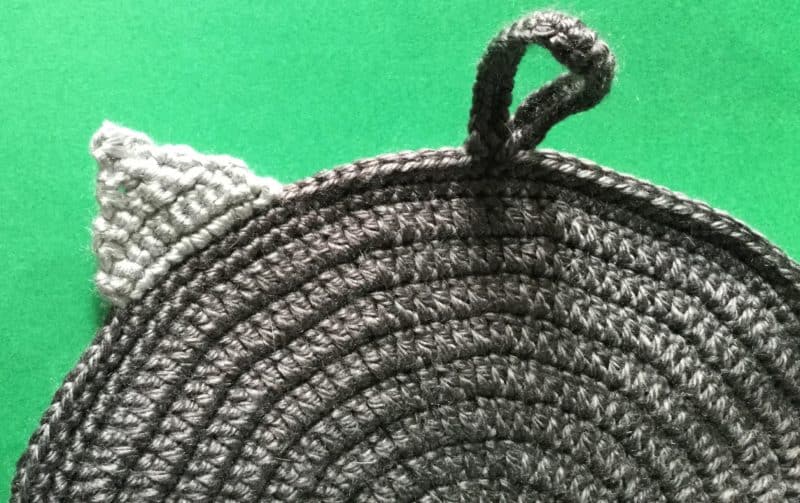 Crochet Cat Potholder Pattern • Kerri's Crochet