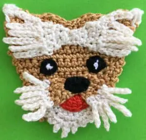 Crochet yorkshire terrier head with eyes