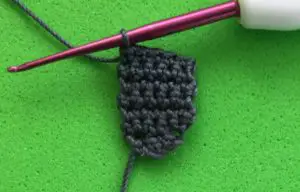 Crochet raccoon 2 ply eye marking