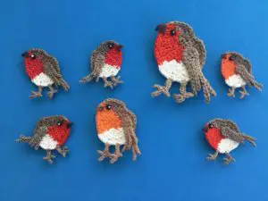 Finished crochet robin 2 ply group landscape