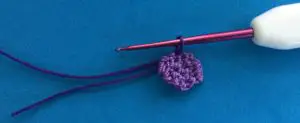 Crochet grapes 2 ply joining for medium grape neatening row