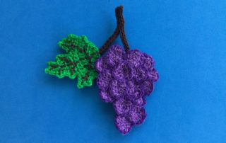 Finished crochet grapes 2 ply landscape