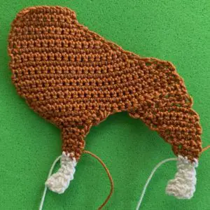 Crochet boxer dog 2 ply body with back foot