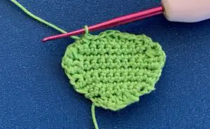 Crochet caterpillar 2 ply head