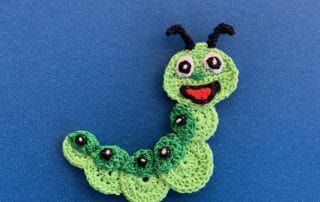 Finished crochet caterpillar 2 ply landscape