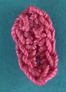 Crochet tri colored border collie 2 ply tongue