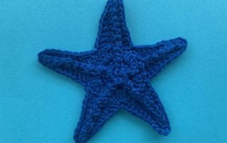 Finished crochet starfish 4 ply landscape