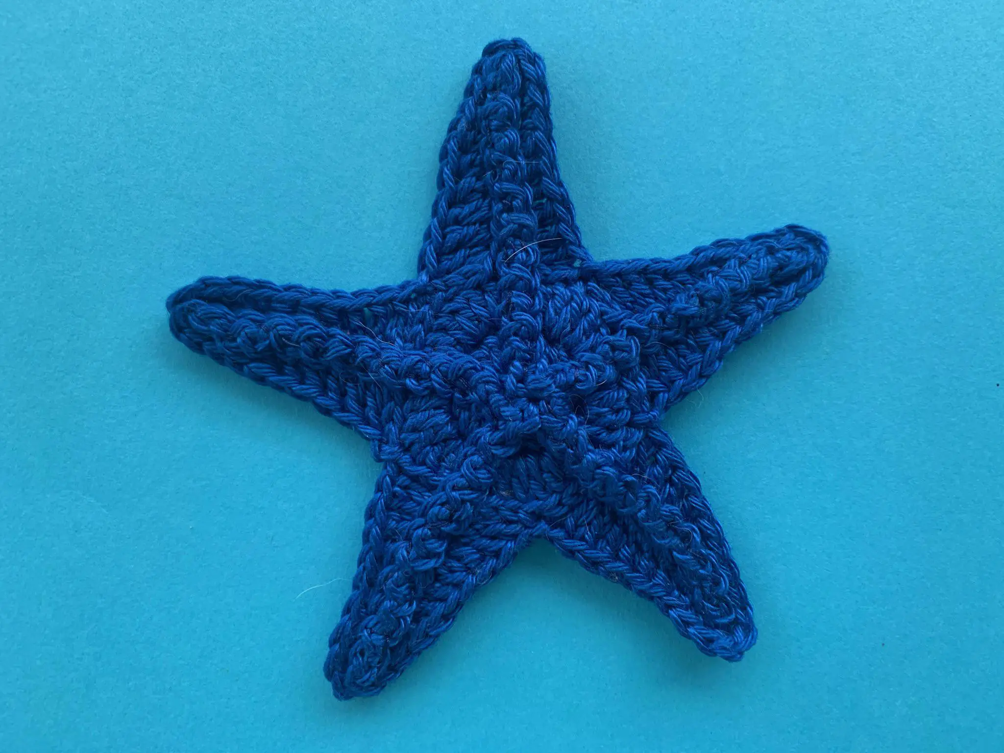 Finished crochet starfish 4 ply landscape