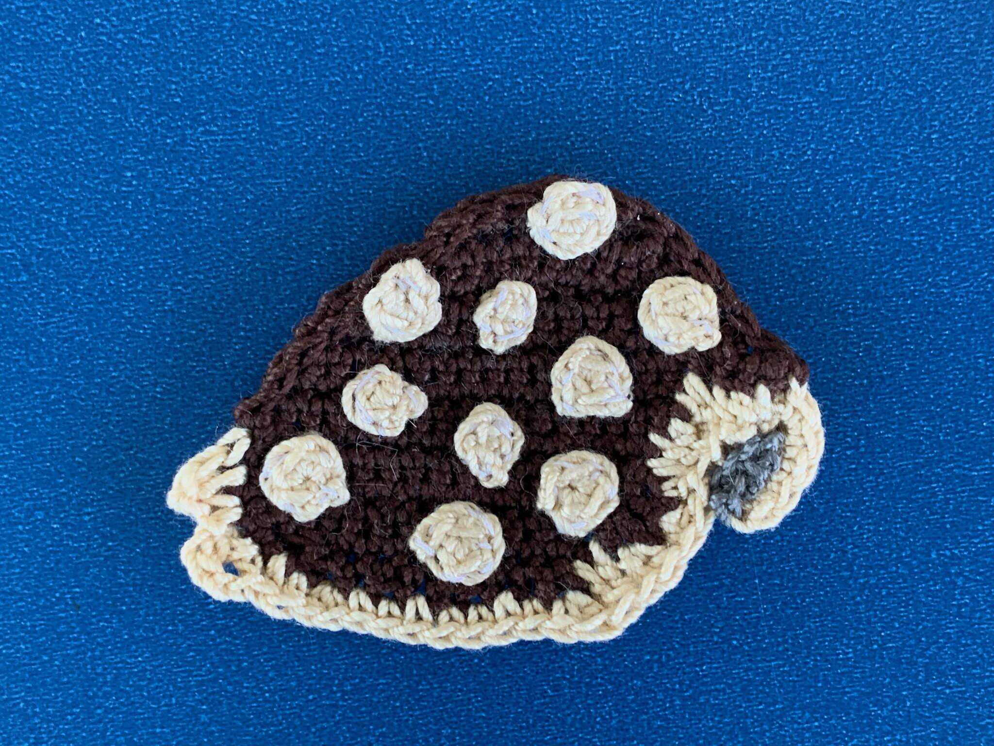 Finished crochet cowrie shell 2 ply landscape