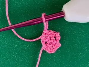 Crochet schnauzer 2 ply tongue