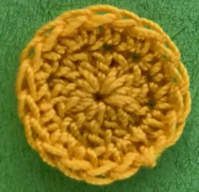 Crochet Daisy Pattern • Kerri's Crochet