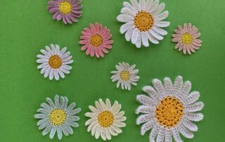 Finished crochet daisy 2 ply group landscape