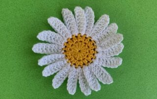 Finished crochet daisy 4 ply landscape