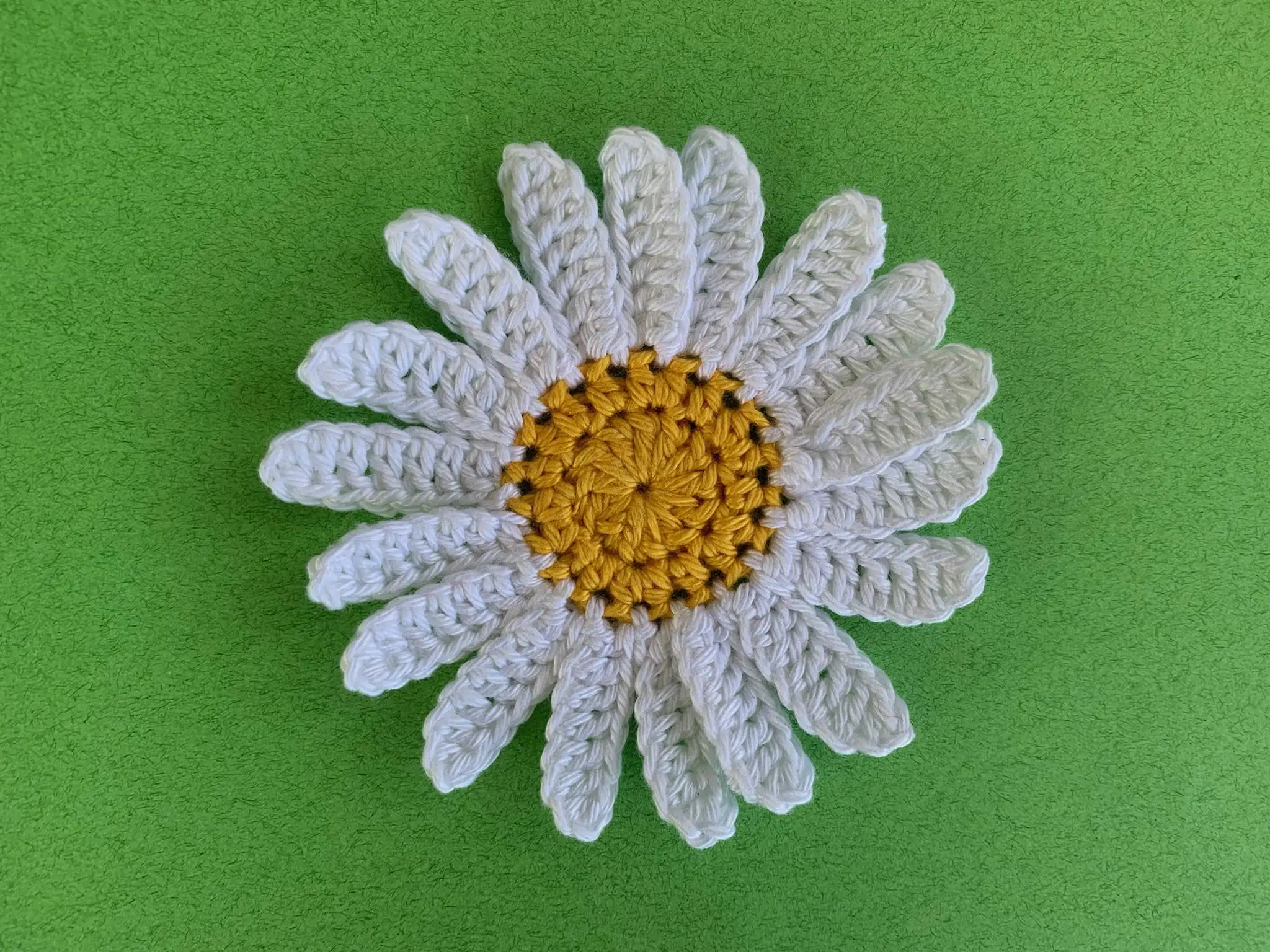 Finished crochet daisy 4 ply landscape