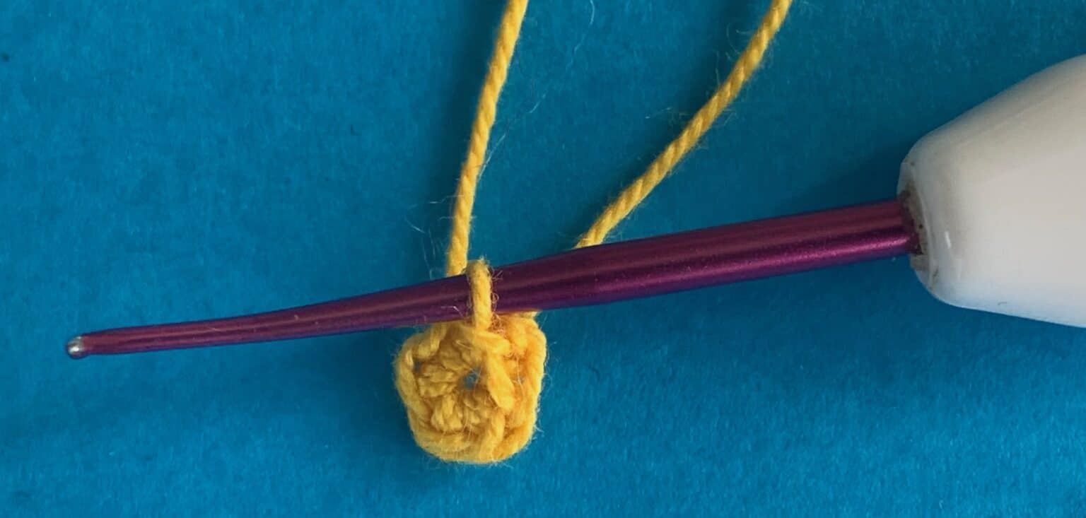 Crochet Water Lily Pattern • Kerri s Crochet