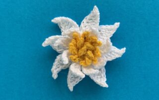 Finished crochet water lily 2 ply landscape