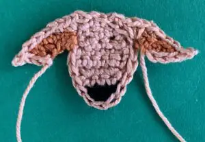 Crochet golden retriever 2 ply ears
