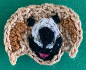 Crochet golden retriever 2 ply eyes