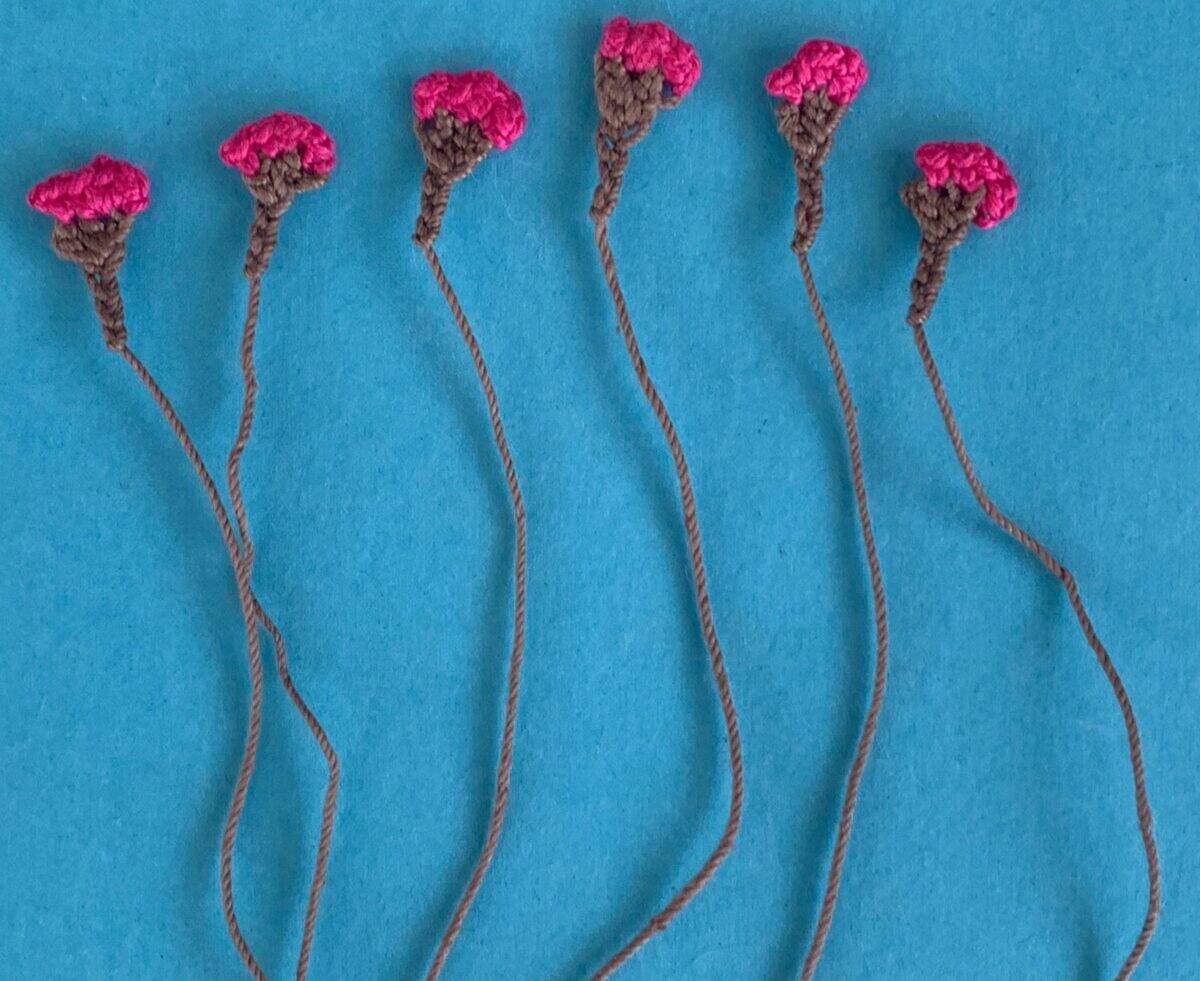 Crochet Wattle and Gumnut Pattern • Kerri's Crochet