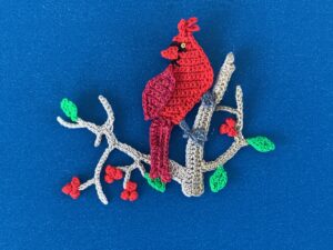 Finished crochet cardinal 2 ply landscape