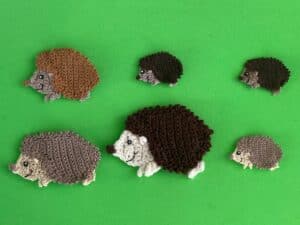 Finished crochet hedgehog 2 ply group landscape