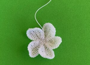 Crochet frangipani 2 ply petals