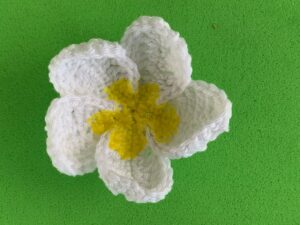 Finished crochet frangipani tutorial 4 ply landscape