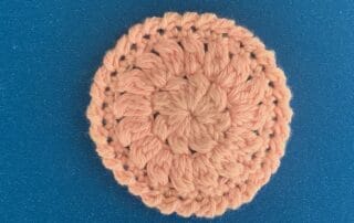 Finished crochet face scrubbie landscape