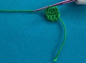Crochet snail 2 ply head