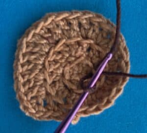 Crochet snail 2 ply joining for shell contrast