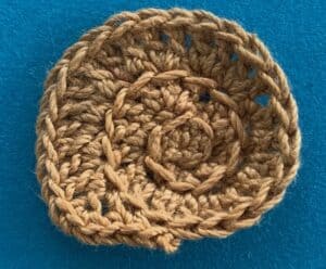Crochet snail 2 ply shell
