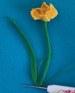 Crochet daffodil 2 ply first leaf