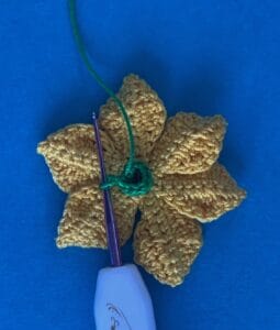 Crochet daffodil 2 ply stem top