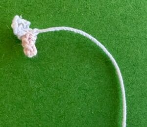 Crochet rat 2 ply near front leg