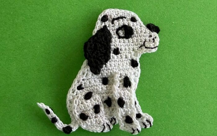 Finished crochet dalmatian pup 2 ply landscape
