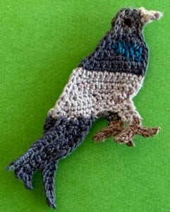 Crochet pigeon 2 ply eye